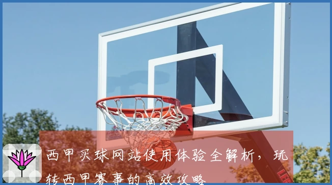 西甲买球网站使用体验全解析,玩转西甲赛事的高效攻略