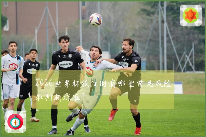 2026世界杯投注时有哪些常见风险和判断标准？