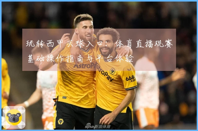 玩转西甲买球入口：体育直播观赛基础操作指南与平台体验