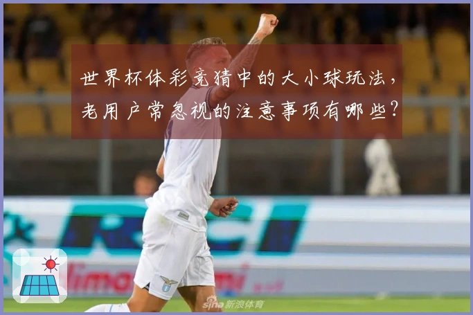 世界杯体彩竞猜中的大小球玩法，老用户常忽视的注意事项有哪些？
