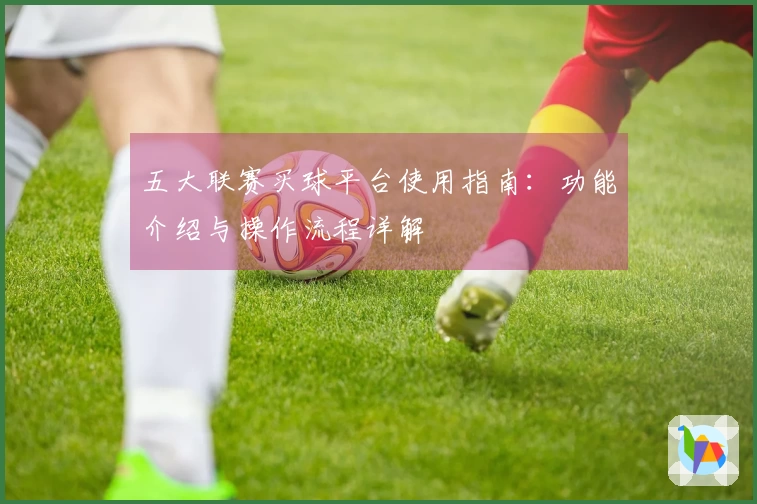 五大联赛买球平台使用指南：功能介绍与操作流程详解