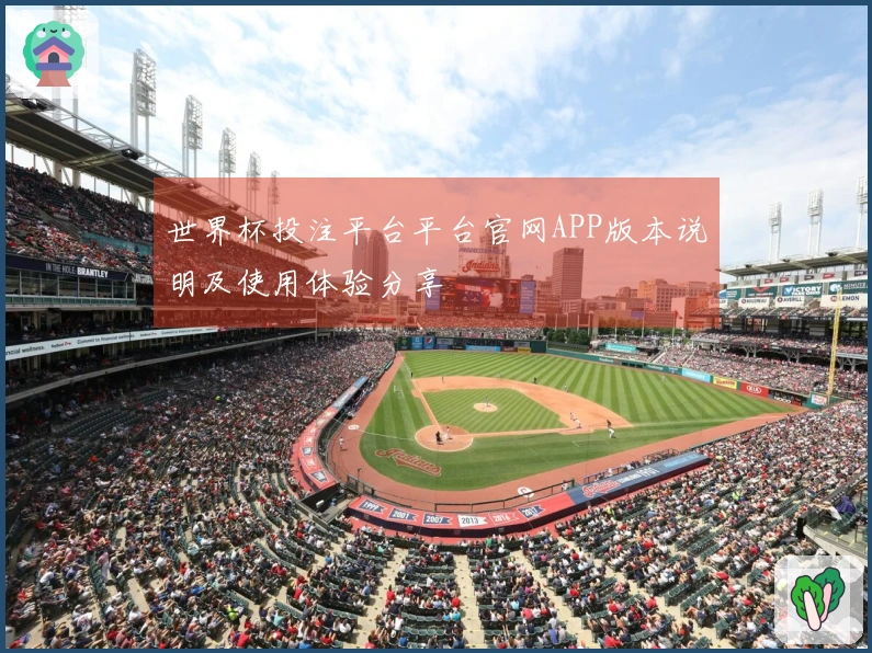 世界杯投注平台平台官网APP版本说明及使用体验分享