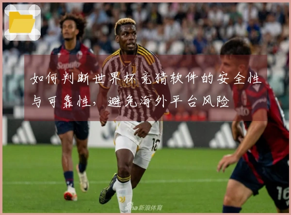 如何判断世界杯竞猜软件的安全性与可靠性，避免海外平台风险