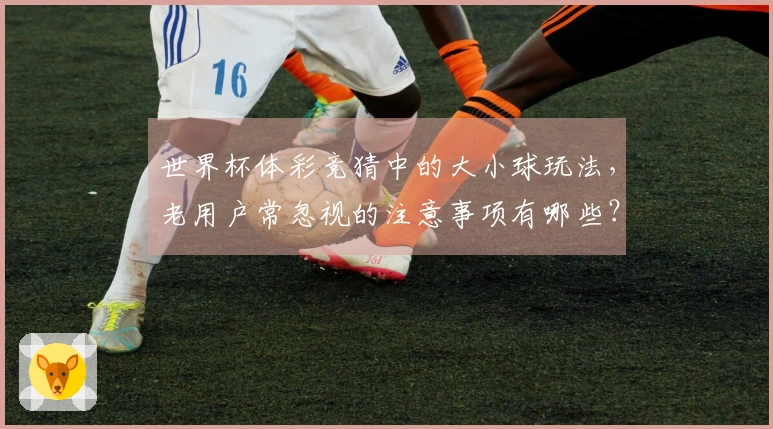 世界杯体彩竞猜中的大小球玩法，老用户常忽视的注意事项有哪些？