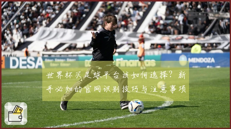 世界杯买足球平台该如何选择？新手必知的官网识别技巧与注意事项