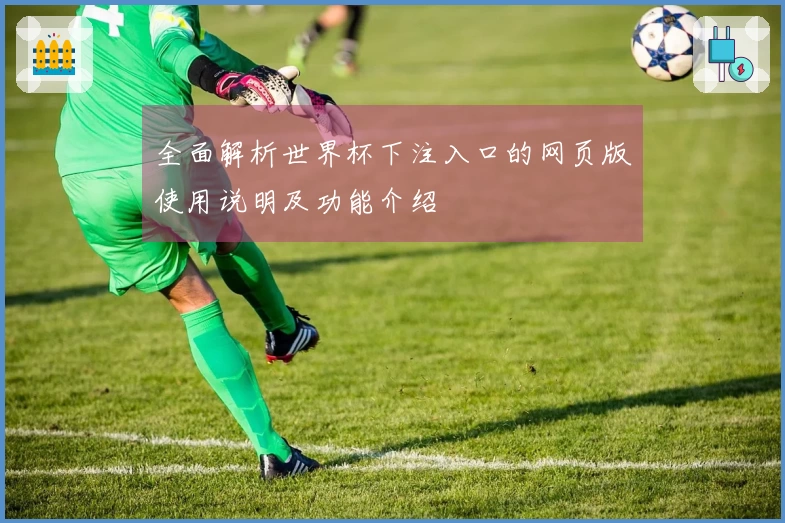 全面解析世界杯下注入口的网页版使用说明及功能介绍