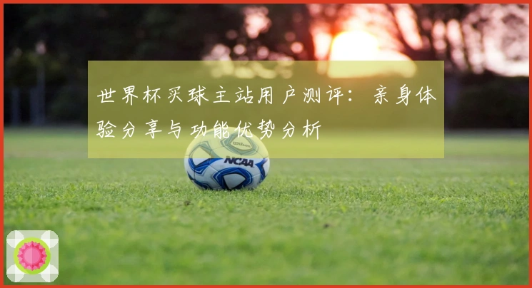 世界杯买球主站用户测评：亲身体验分享与功能优势分析